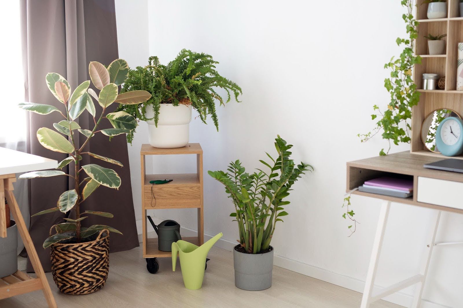 Natural Elements Like Wood and Plants in the Office