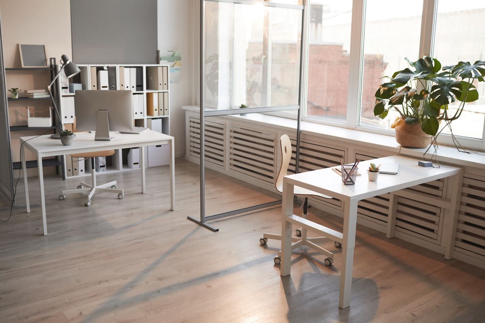 Natural Light to Make Your Space Feel Bigger