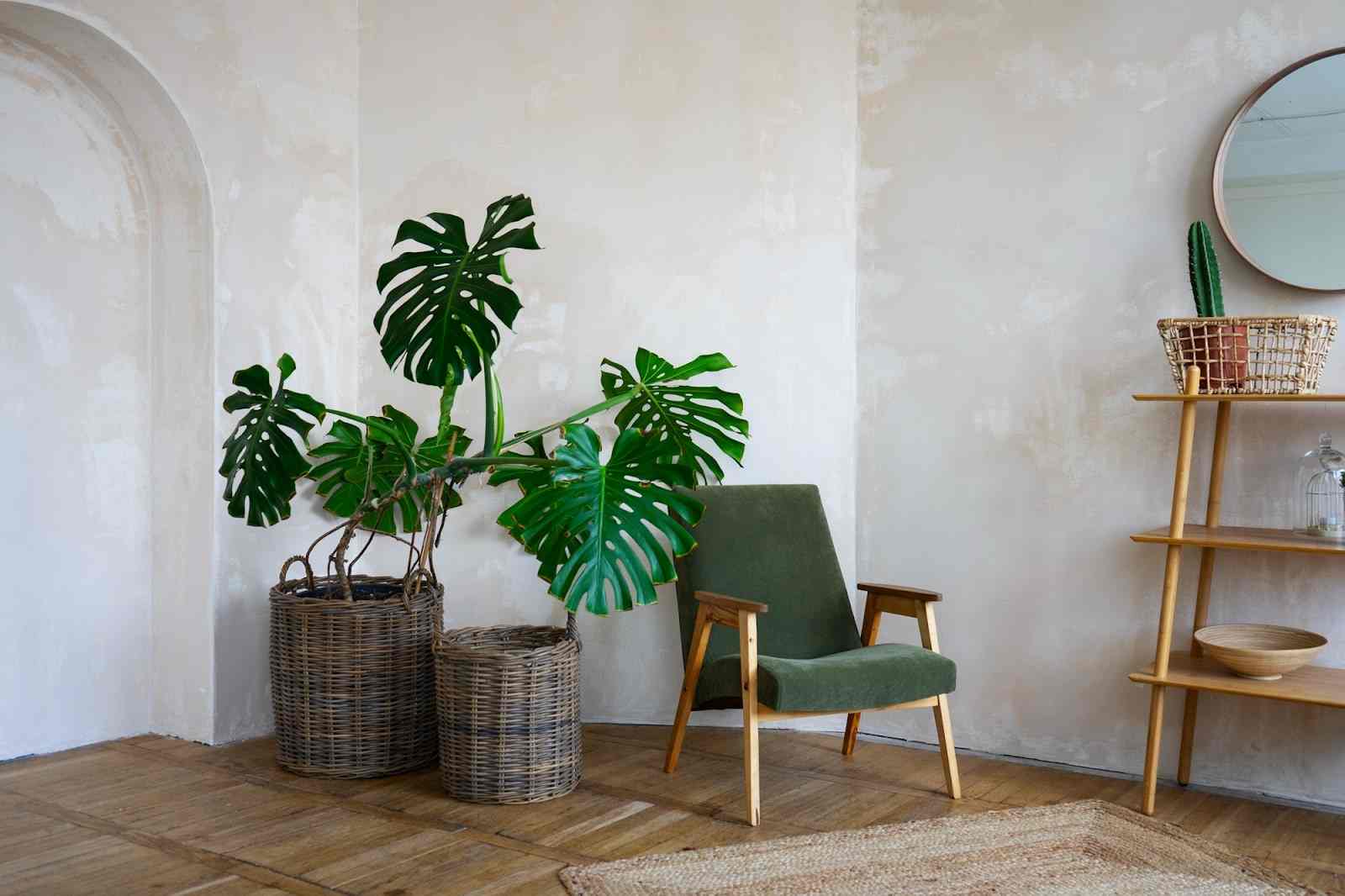 25 Eco-Friendly Office Design Trends In 2025 That You Need To Know