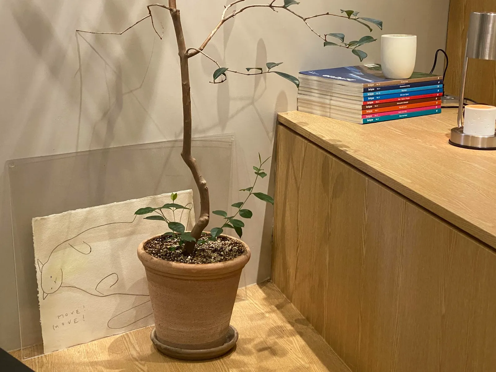 Eco-Friendly Japandi Material Selection For Offices